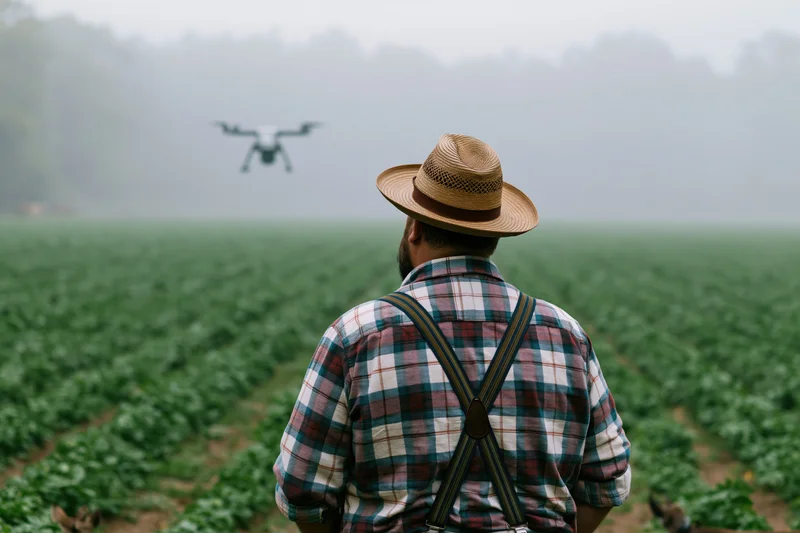 Farmer from behind watching drone hover over crop field