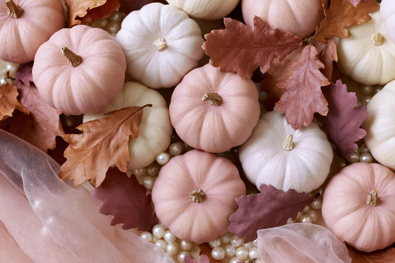 Small decorative pumpkins and dried leaves arranged in a flat lay with pearls and tulle fabric