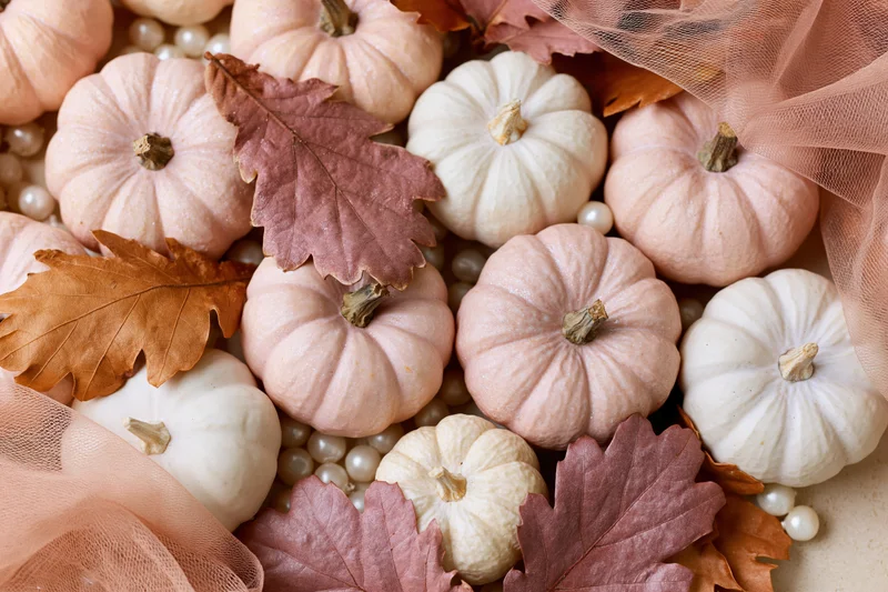 Small decorative pumpkins and autumn leaves arranged in a flat lay with pearls and tulle fabric on a light surface