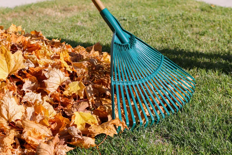 Green plastic fan rake gathering a pile of fallen autumn leaves on a grassy lawn