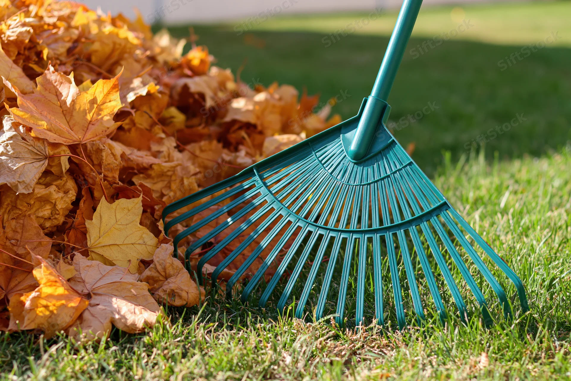 Green plastic fan rake resting beside a pile of fallen autumn leaves on a grassy lawn