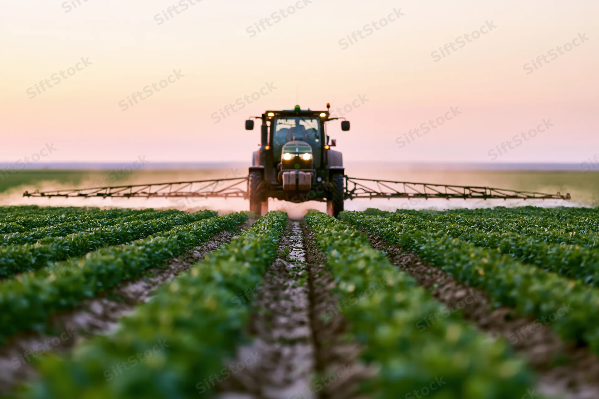 Tractor with boom sprayer moving through rows of crops in a field at dusk