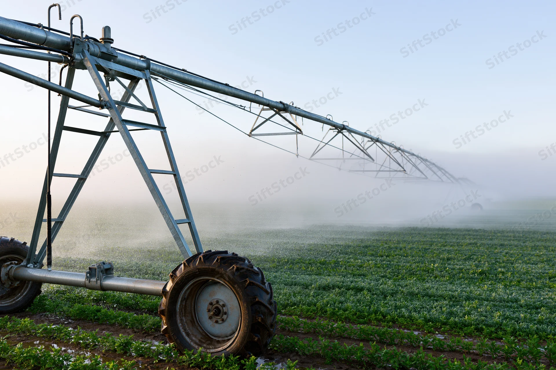 Center-pivot irrigation system spraying water across a green crop field at dawn