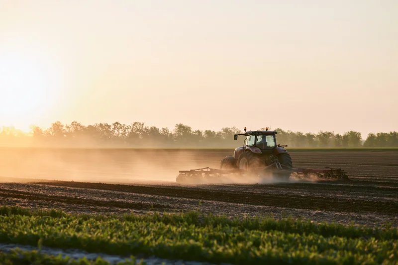 Tractor pulling disc harrow across flat farmland at sunset