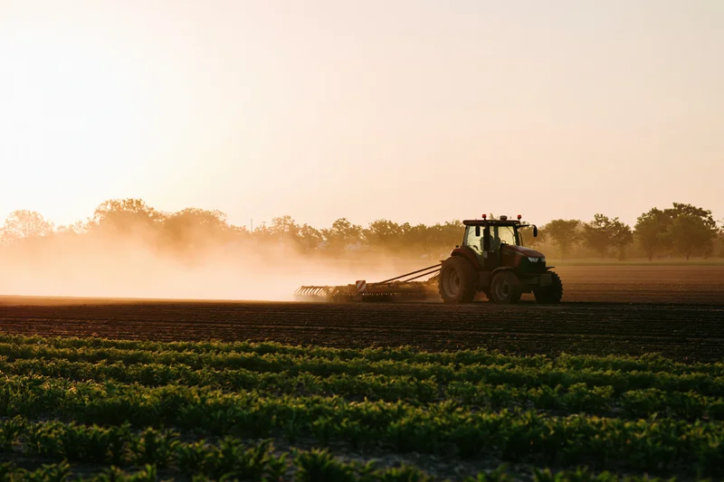 Tractor pulling a disc harrow across a field at sunset