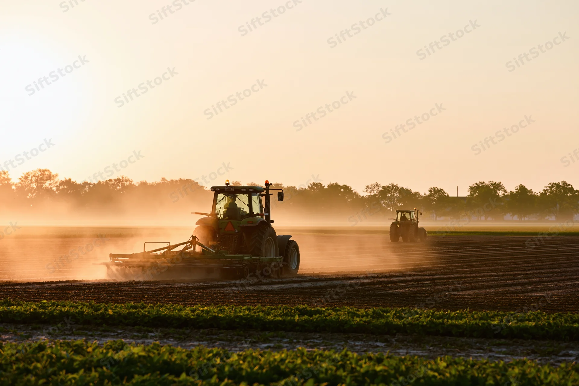 Tractors pulling disc harrows across a field at sunset