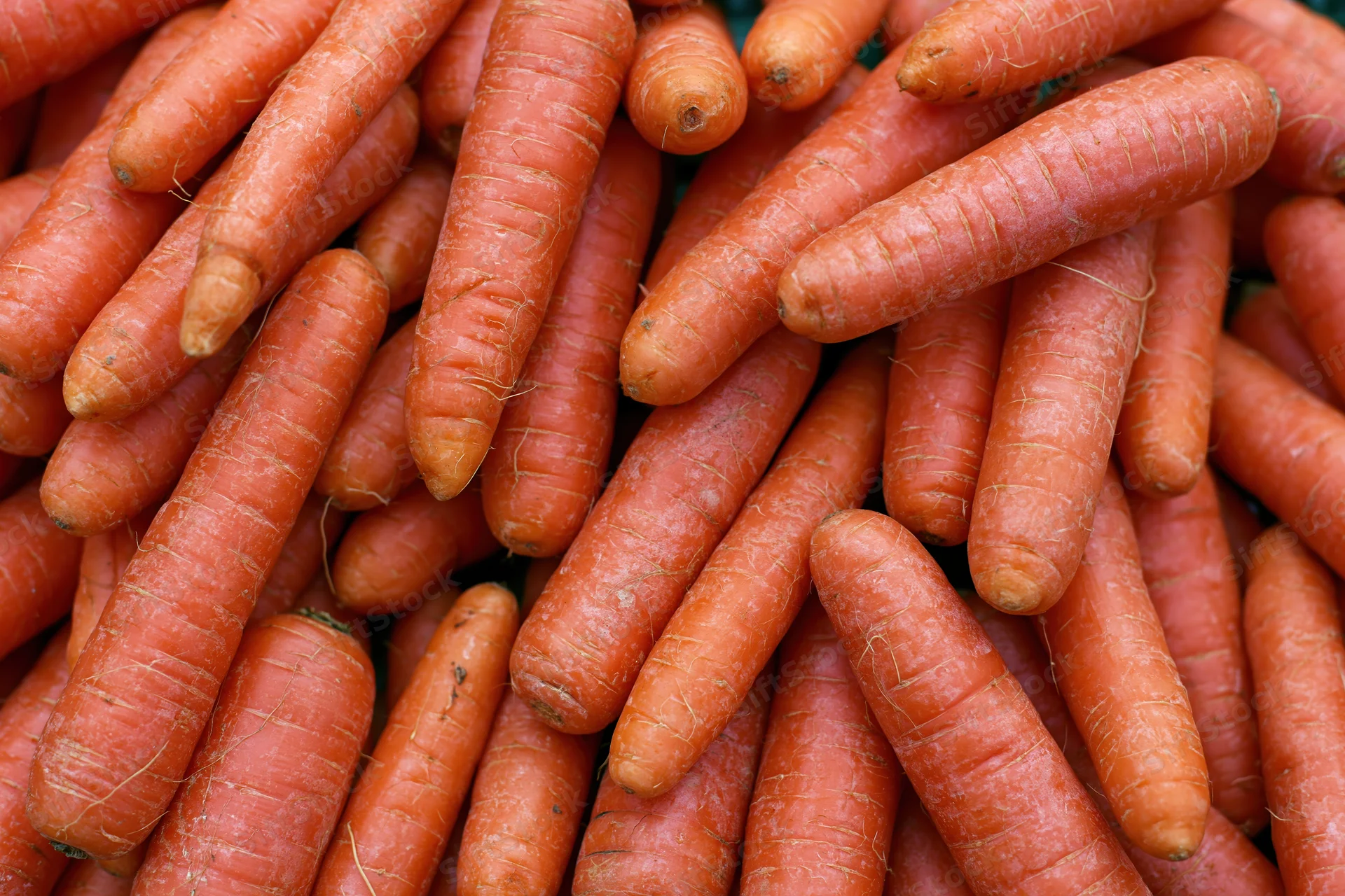 A pile of fresh whole carrots filling the frame