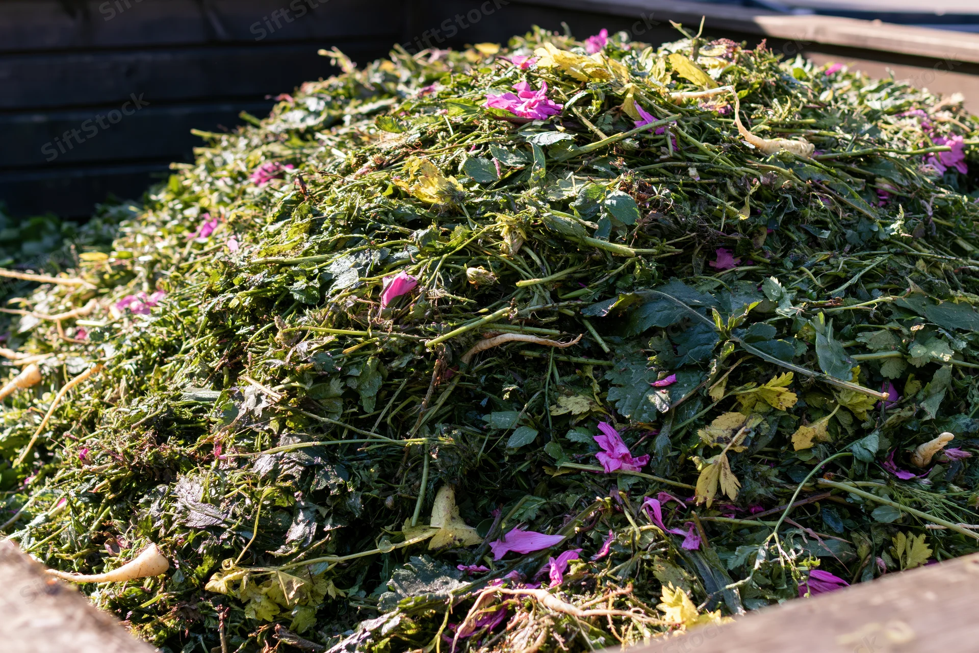 Pile of garden waste including green leaves, stems, and pink flowers in a wooden compost bin
