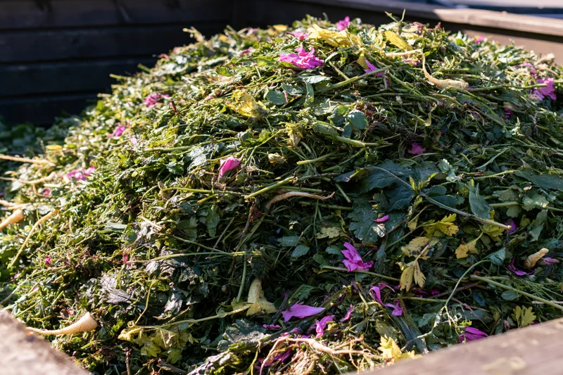 Pile of garden waste including green leaves, stems, and pink flowers in a wooden compost bin