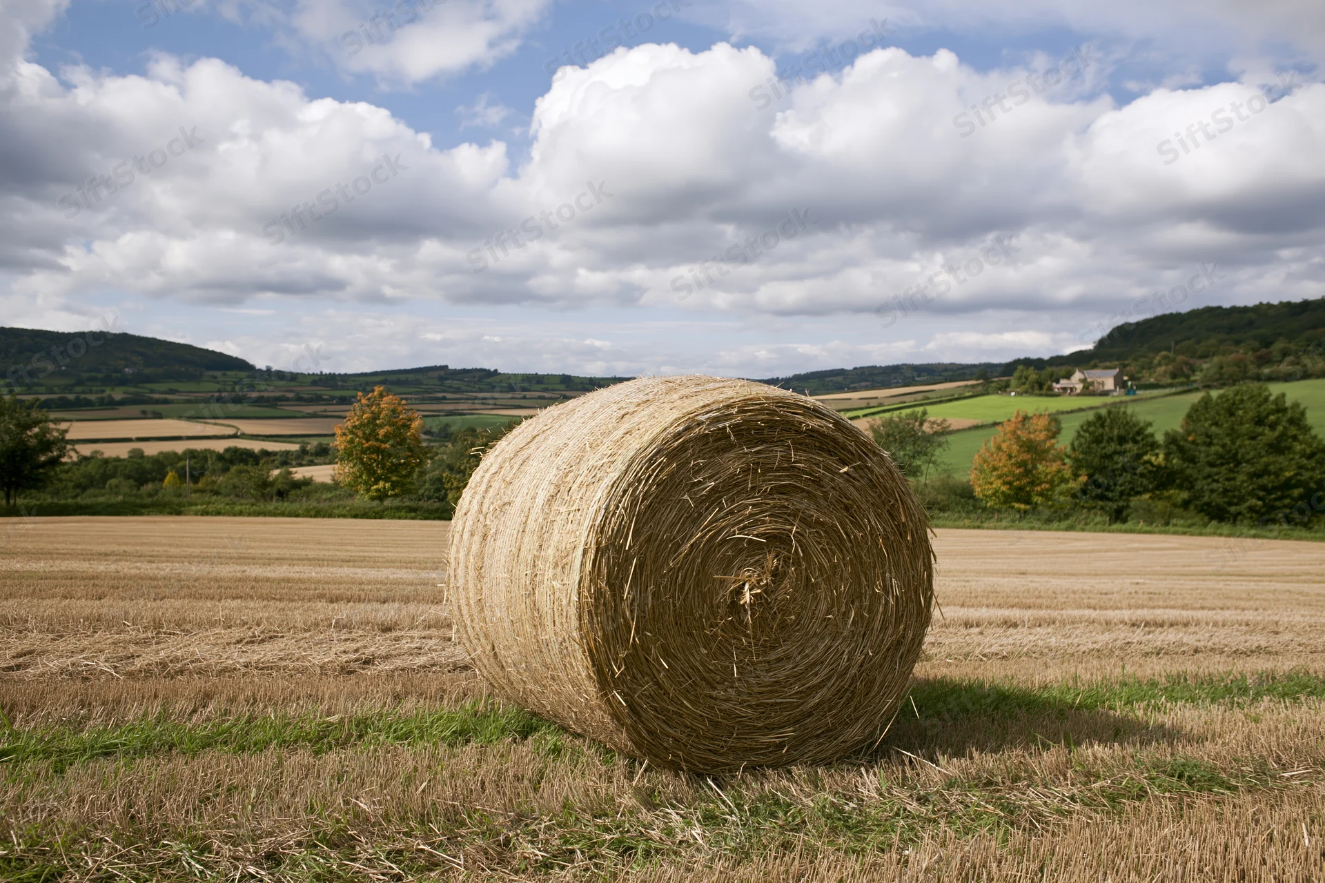Large round hay bale resting in a harvested field under a partly cloudy sky with rolling hills and trees in the distance