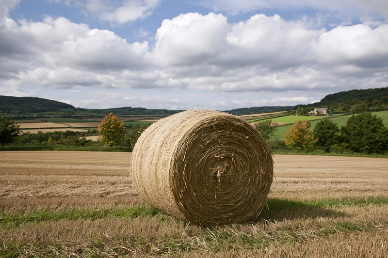 Large round hay bale resting in a harvested field under a partly cloudy sky with rolling hills and trees in the distance