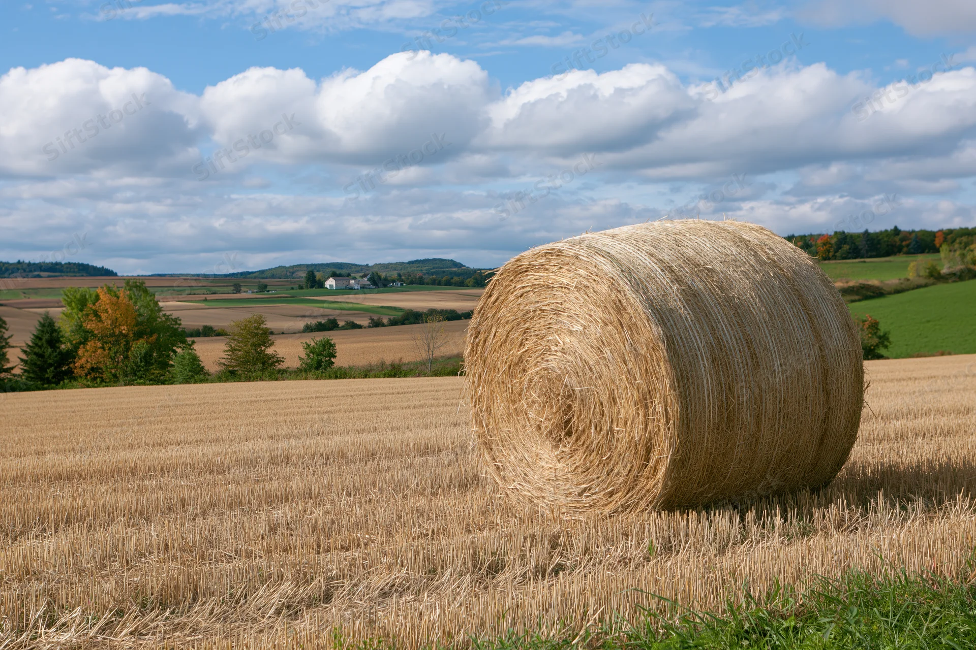Large round hay bale resting in a harvested field under a partly cloudy sky