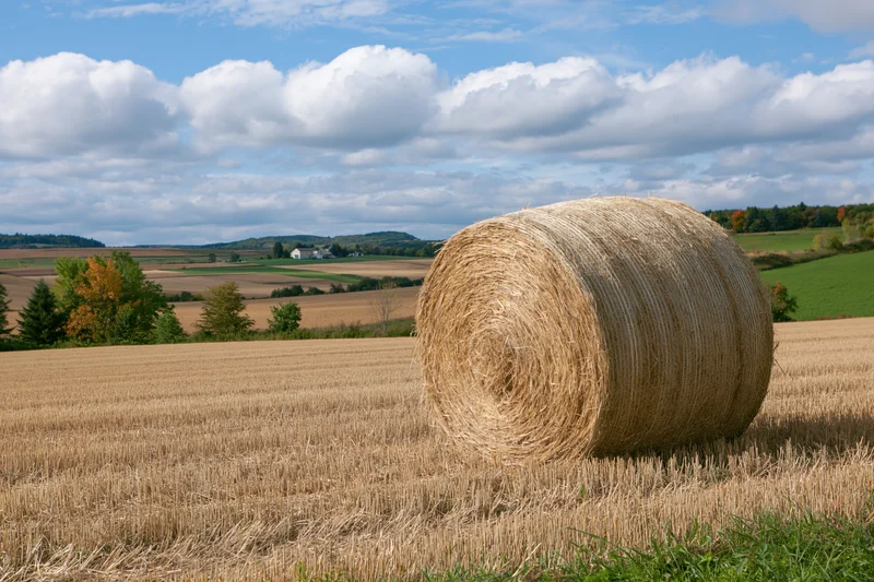Large round hay bale resting in a harvested field under a partly cloudy sky