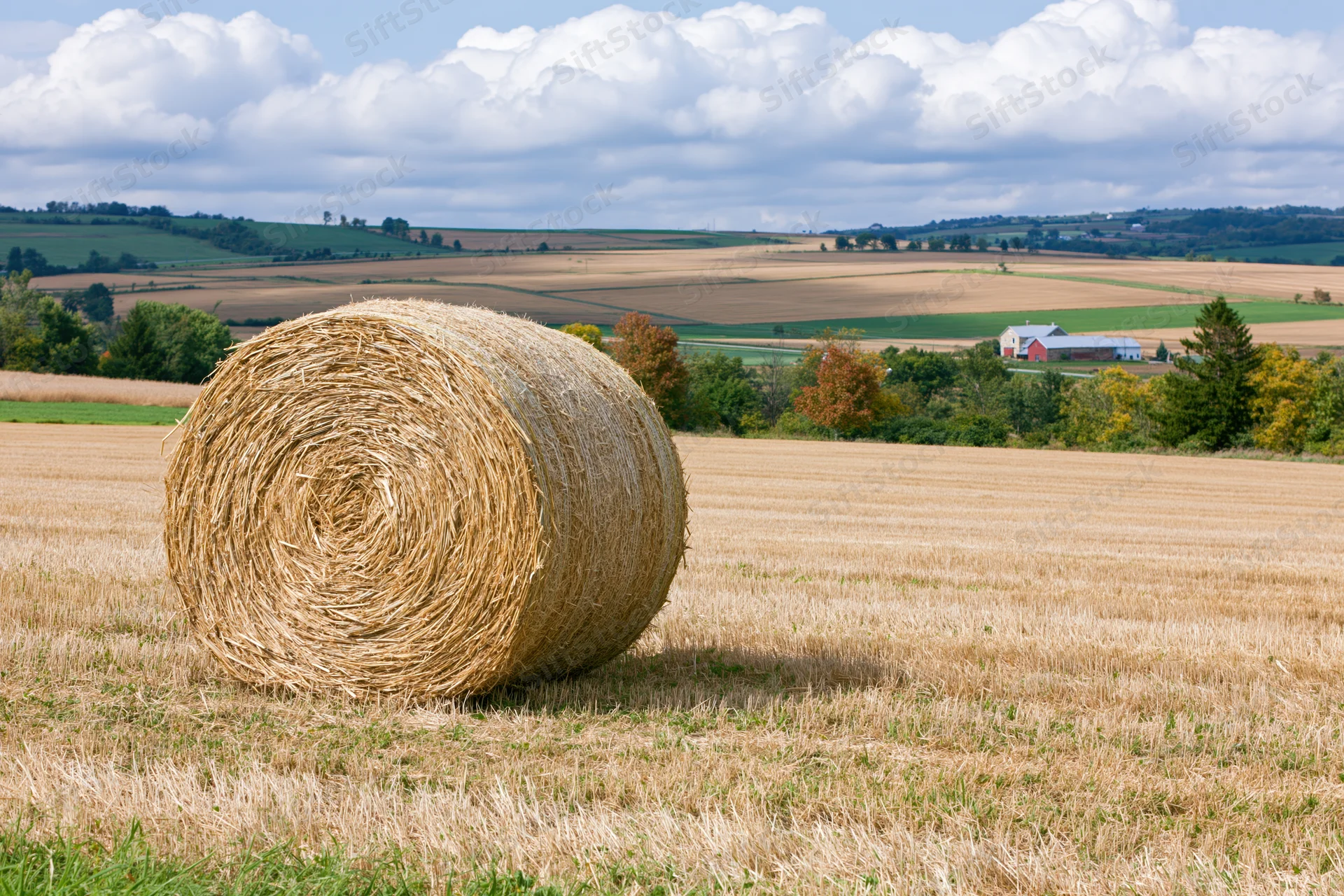 Large round hay bale resting in a harvested field with distant farm buildings and rolling hills under a cloudy sky