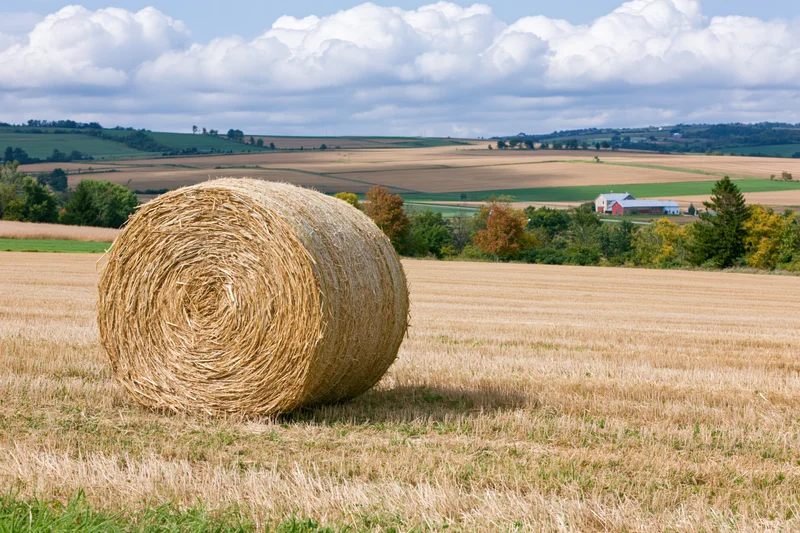 Large round hay bale resting in a harvested field with distant farm buildings and rolling hills under a cloudy sky