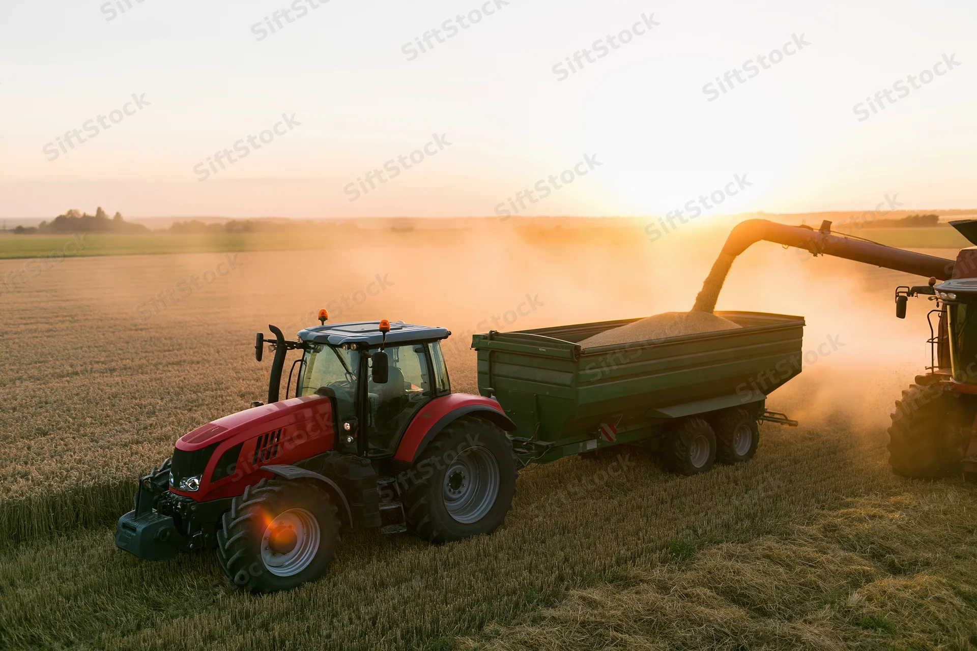 Red tractor pulling green grain trailer receiving harvest in field at sunset
