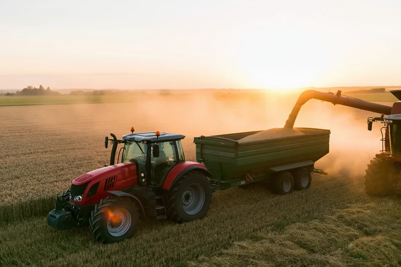 Red tractor pulling green grain trailer receiving harvest in field at sunset