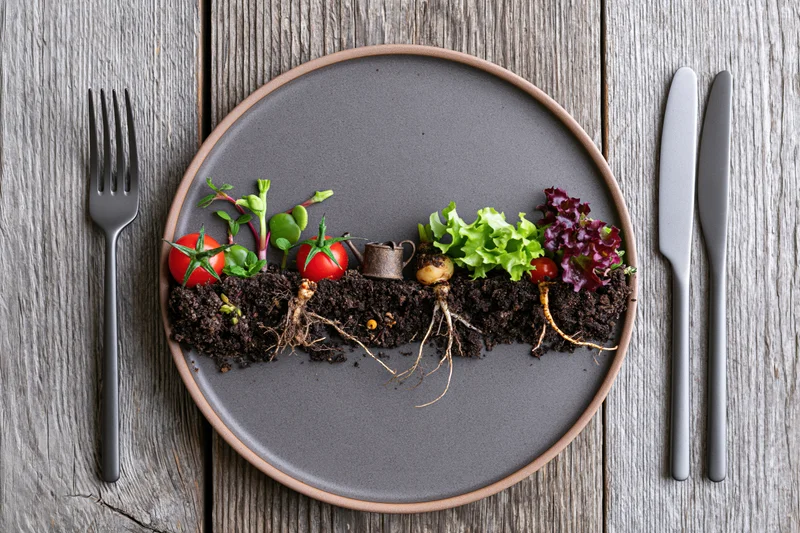 Cross-section of garden soil with growing vegetables on a plate in a flat-lay arrangement on wooden table with cutlery