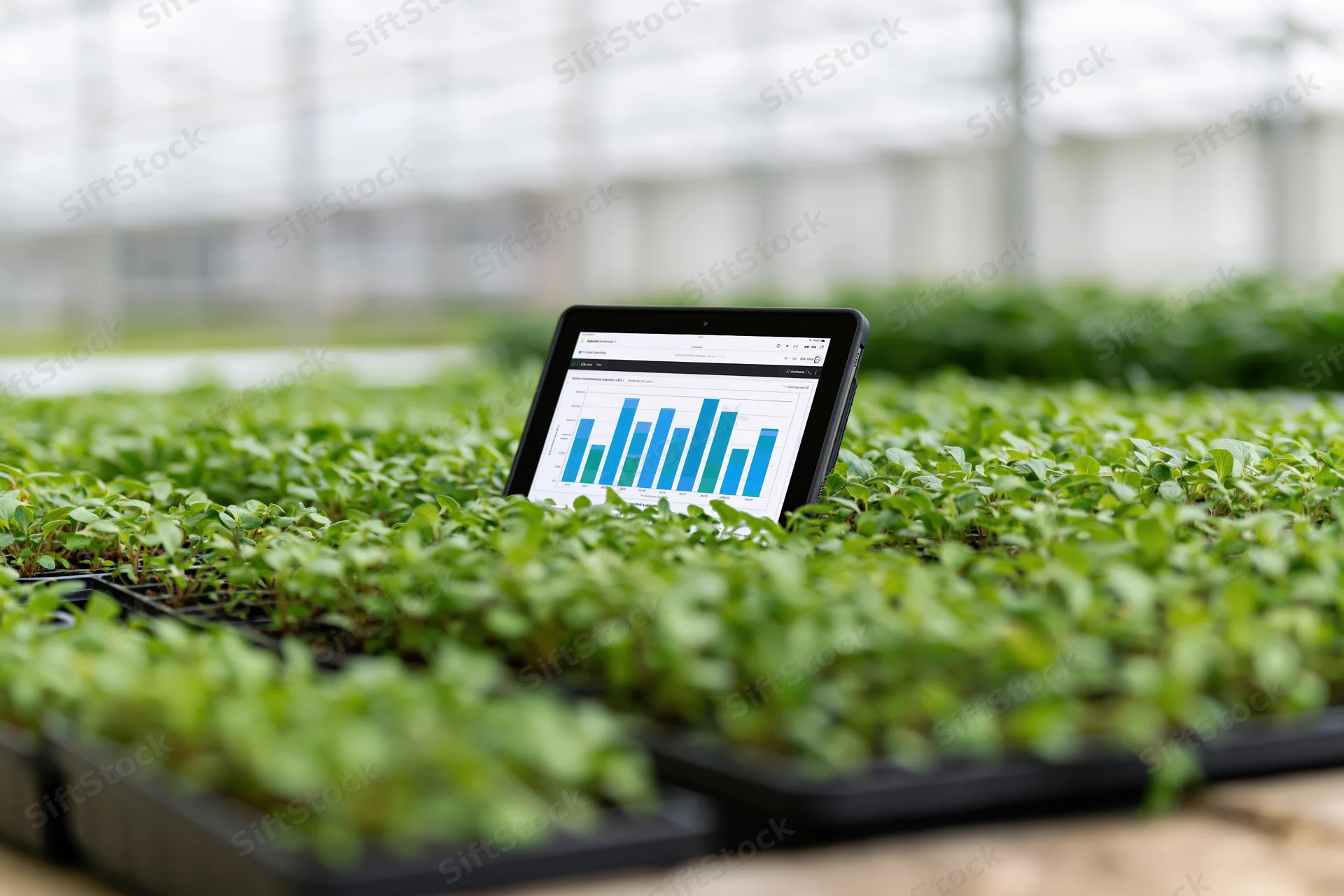 Tablet displaying crop monitoring data graphs propped among seedlings in a greenhouse