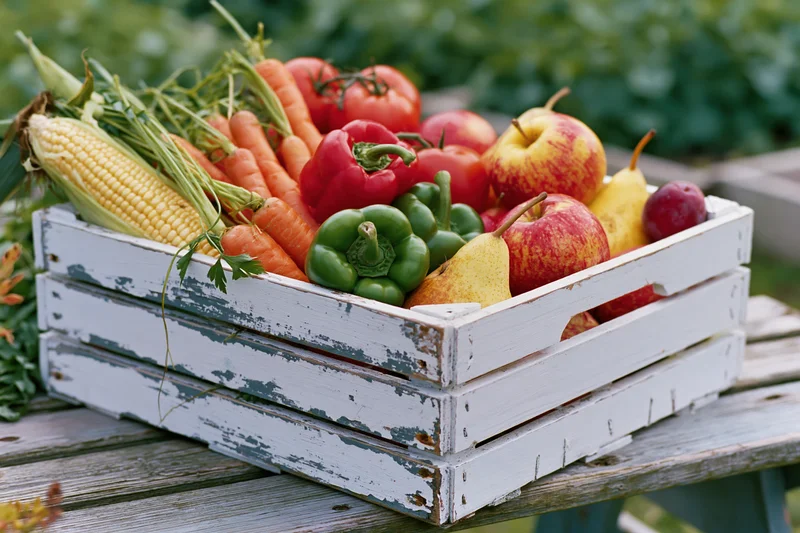 Weathered white wooden crate filled with fresh harvest vegetables and fruits on a wooden table outdoors