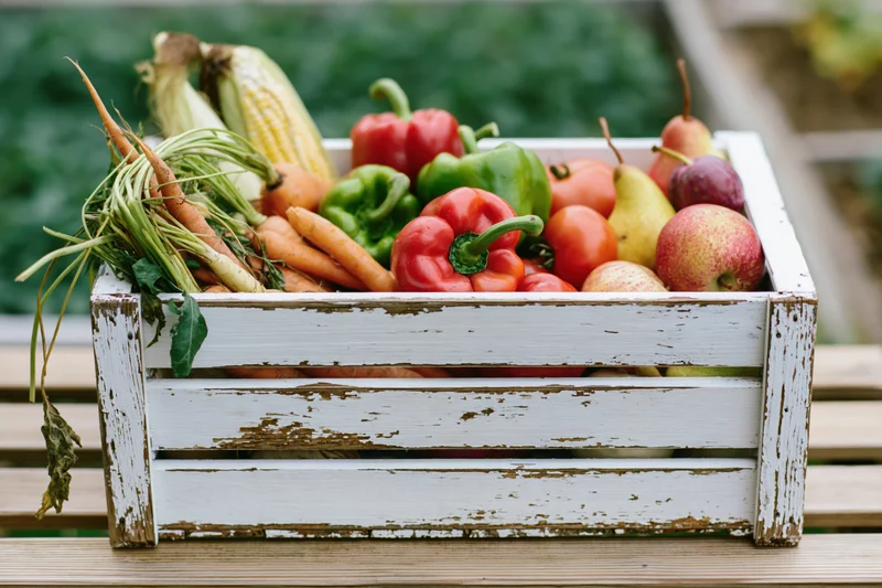 Weathered white wooden crate filled with fresh harvest vegetables and fruits on a wooden bench outdoors