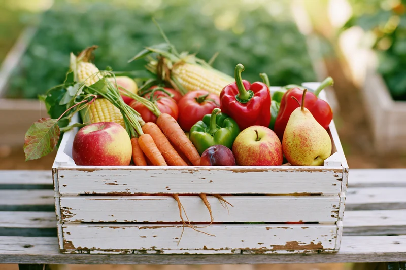 Weathered white wooden crate filled with fresh harvest vegetables and fruits on a garden bench