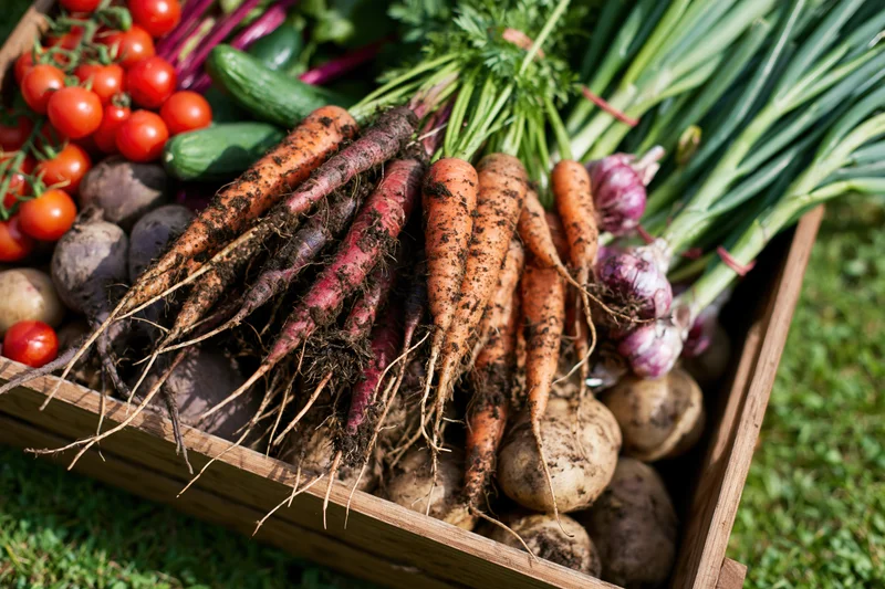 Wooden crate overflowing with freshly harvested garden vegetables on grass