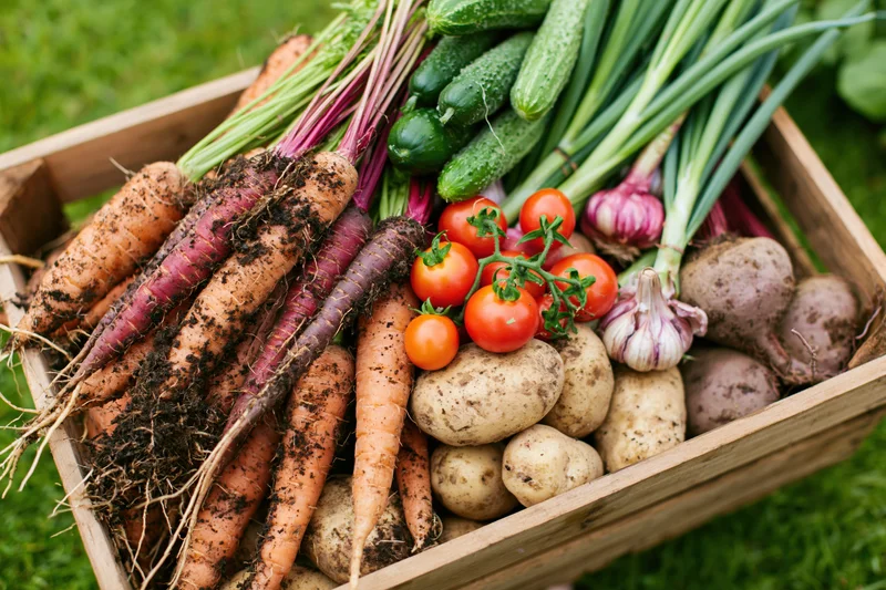 Wooden crate overflowing with freshly harvested garden vegetables on grass