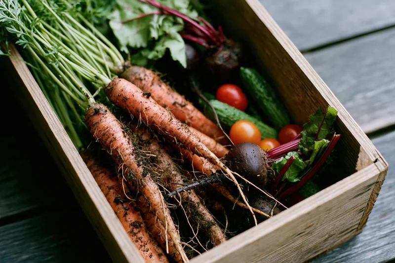 Wooden crate filled with freshly harvested carrots and mixed vegetables on a weathered wooden surface