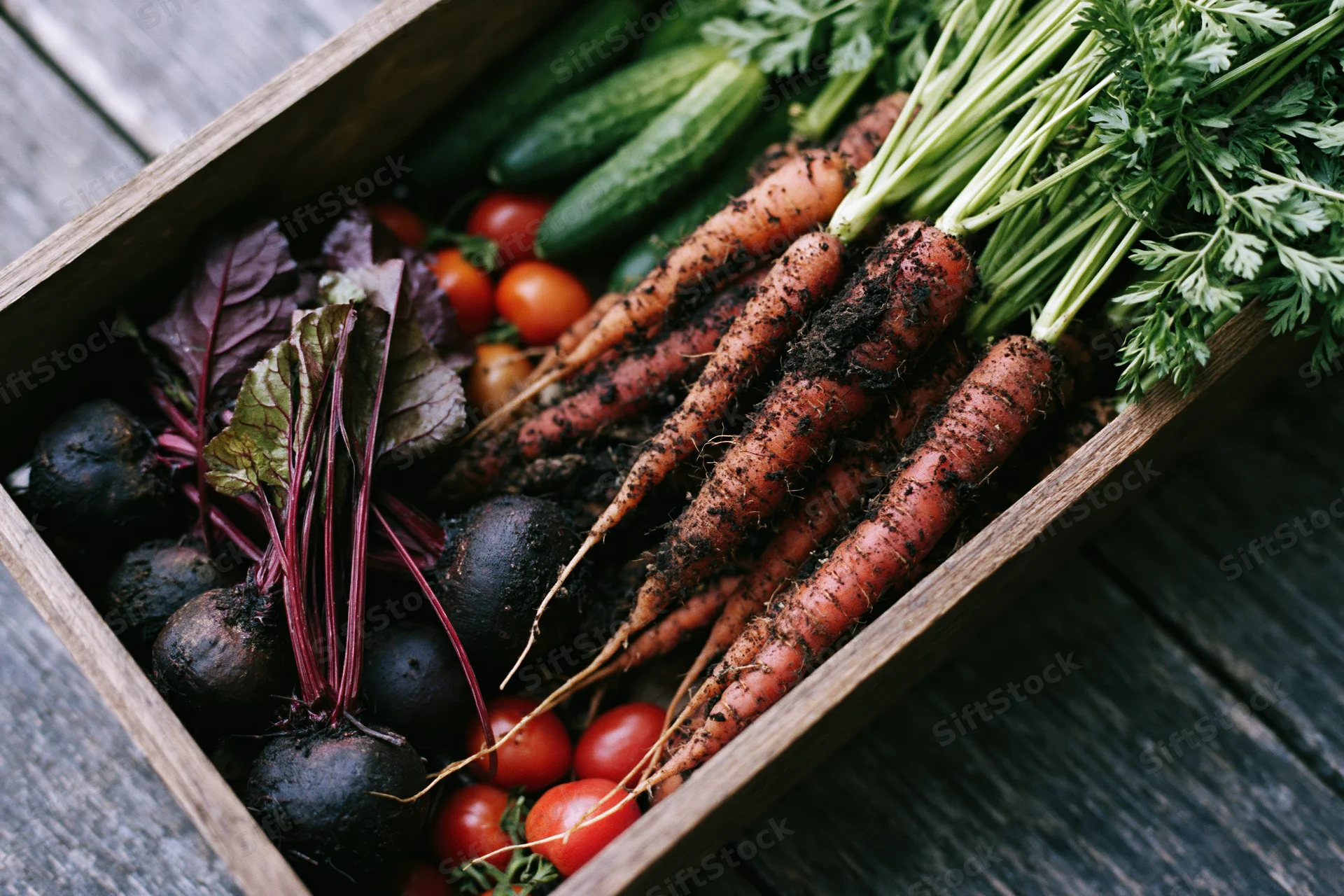 Wooden crate filled with freshly harvested carrots, beets, cucumbers, tomatoes and parsley on a rustic wooden surface
