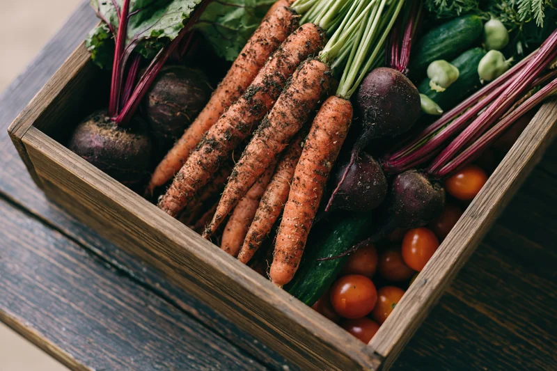 Wooden crate filled with freshly harvested carrots, beets, cucumbers and tomatoes arranged on a dark wooden surface