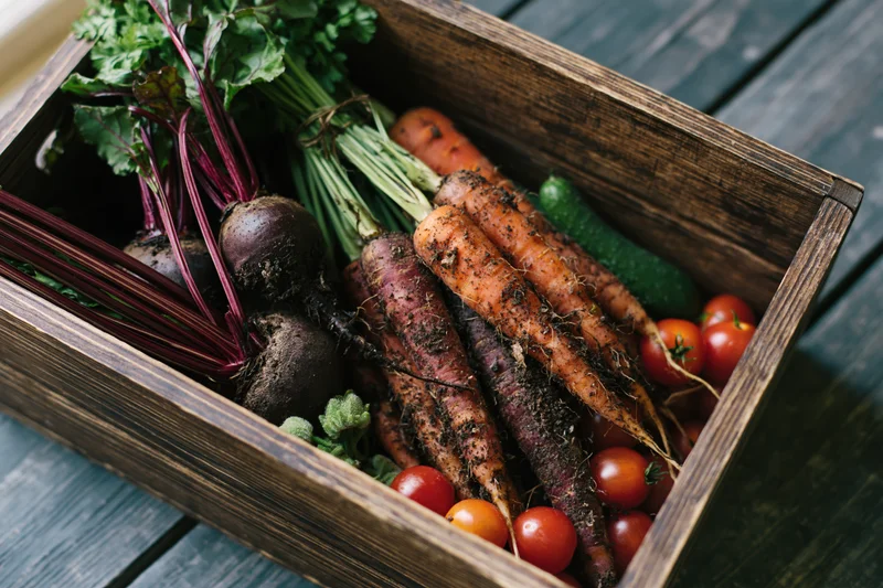 Wooden crate filled with freshly harvested vegetables including carrots, beets, tomatoes, and cucumbers on a wooden surface