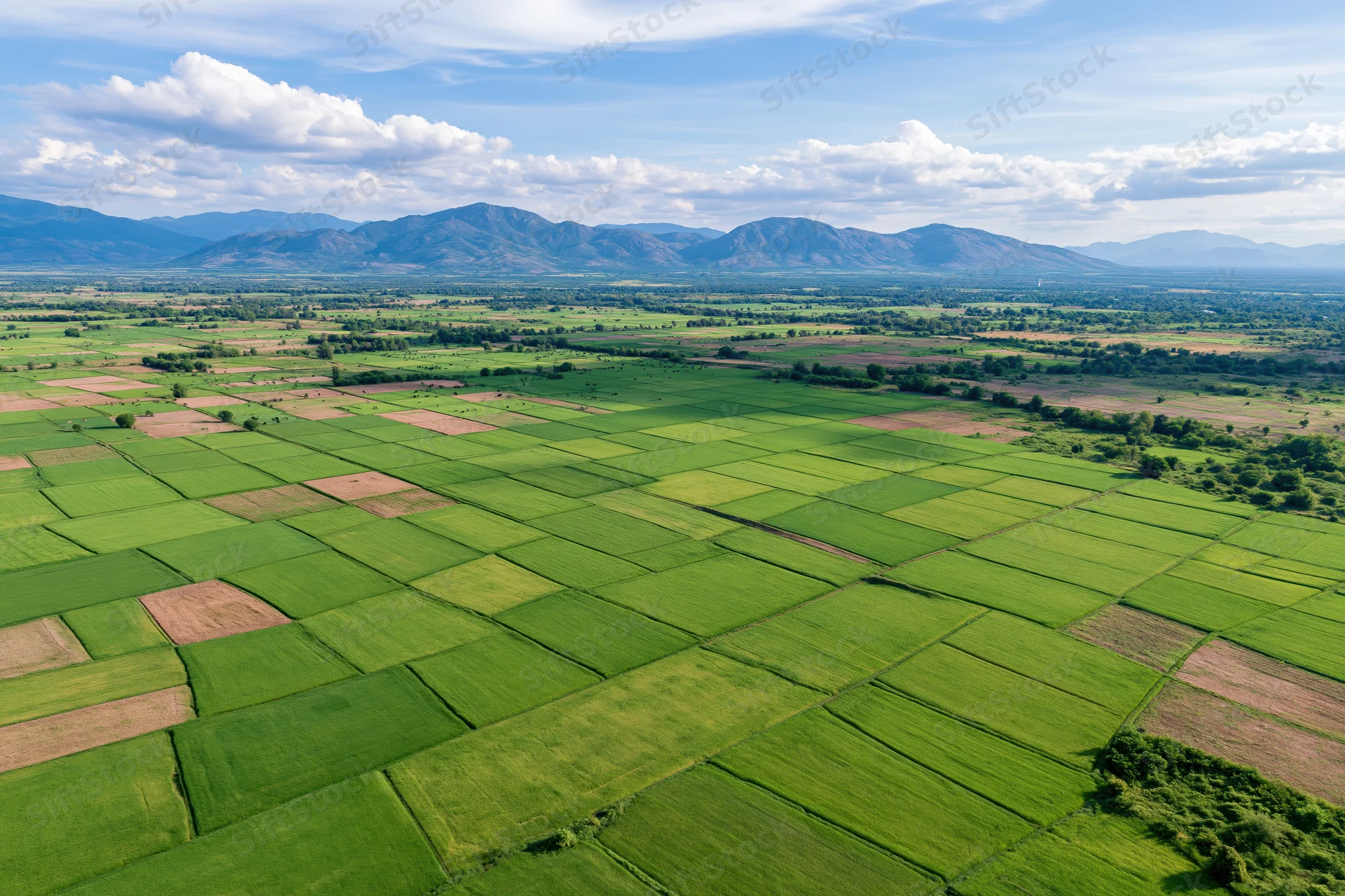 Aerial view of green rice paddies arranged in grid pattern across rural valley with mountains in distance
