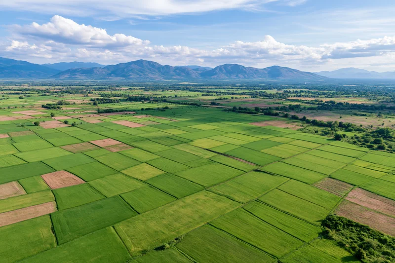 Aerial view of green rice paddies arranged in grid pattern across rural valley with mountains in distance