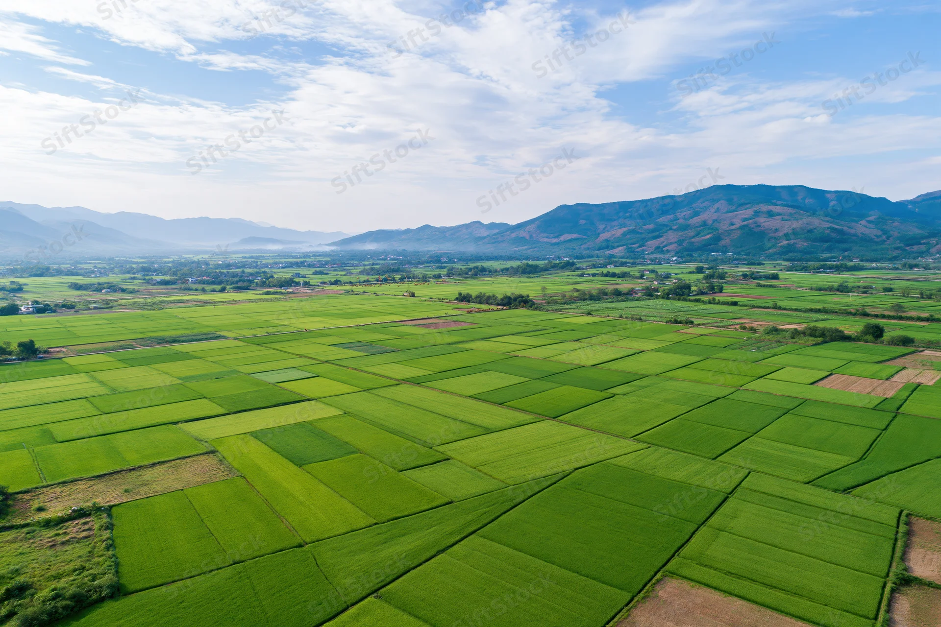 Aerial view of green rice paddies arranged in grid pattern across rural valley with mountains in background