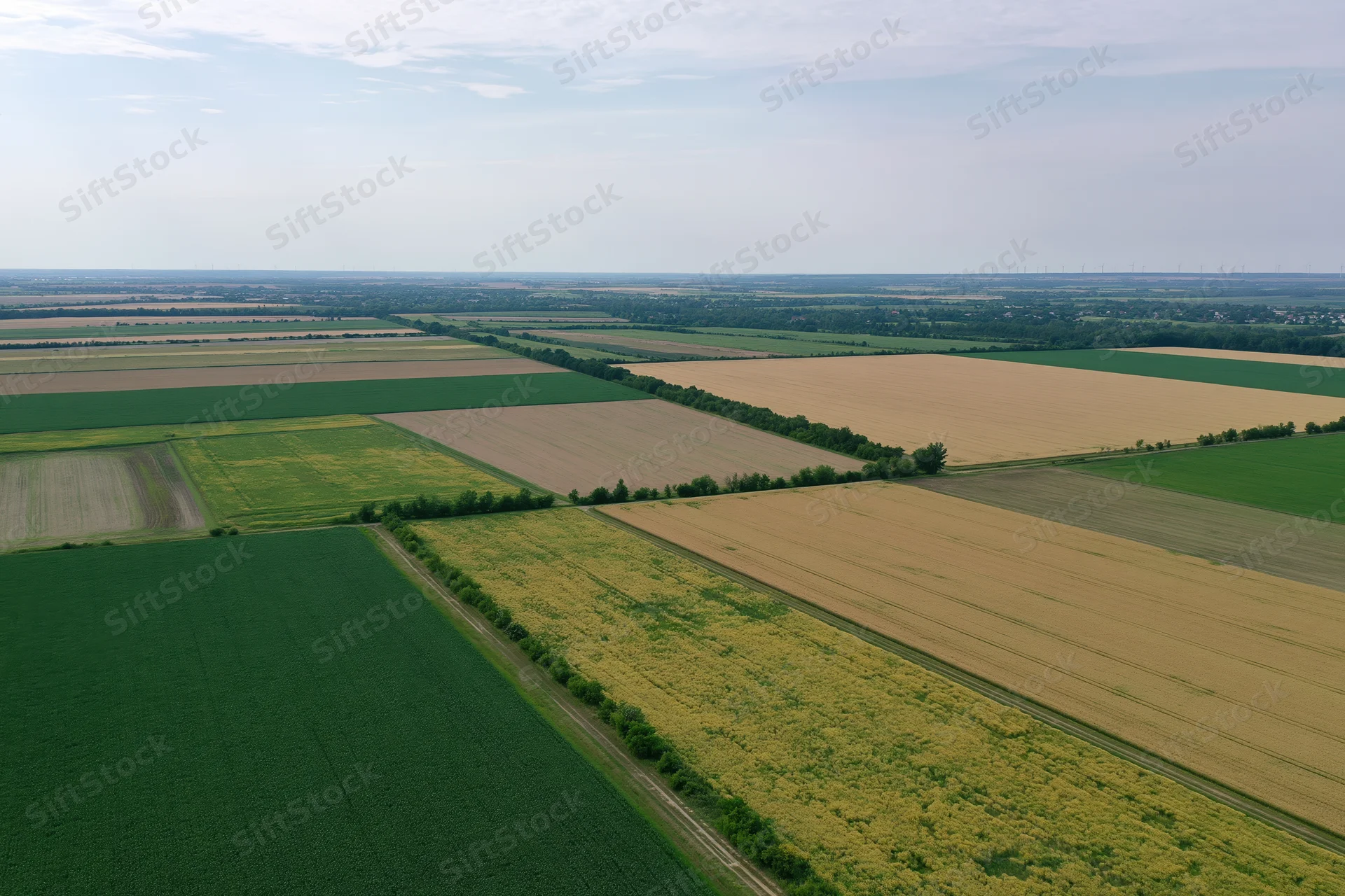 Aerial drone view of patchwork farmland with alternating crops of wheat, corn, and soybean under clear sky
