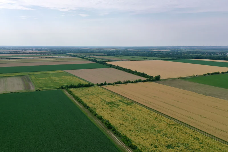 Aerial drone view of patchwork farmland with alternating crops of wheat, corn, and soybean under clear sky