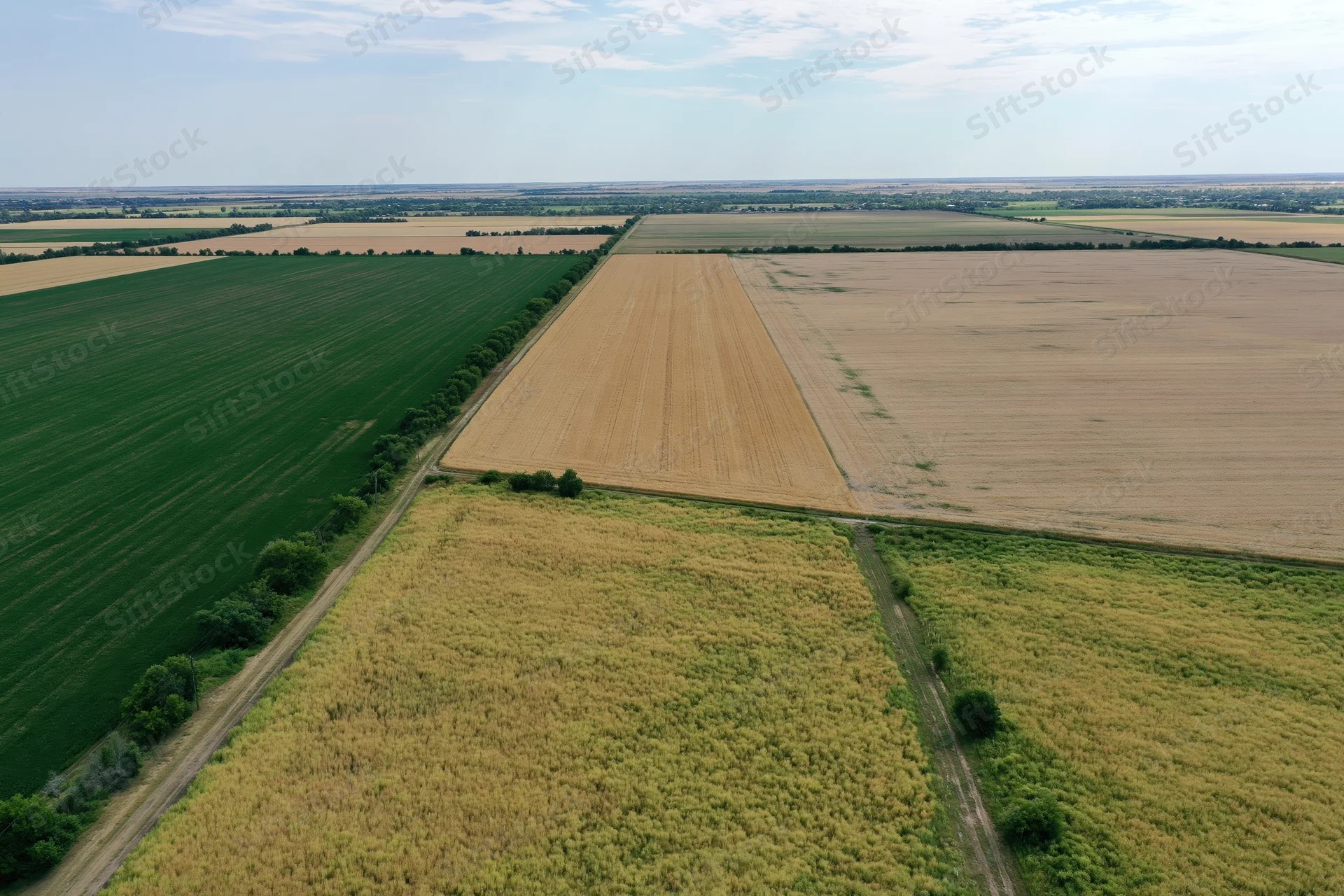 Aerial view of patchwork farmland with green and golden crops divided by dirt paths and hedgerows