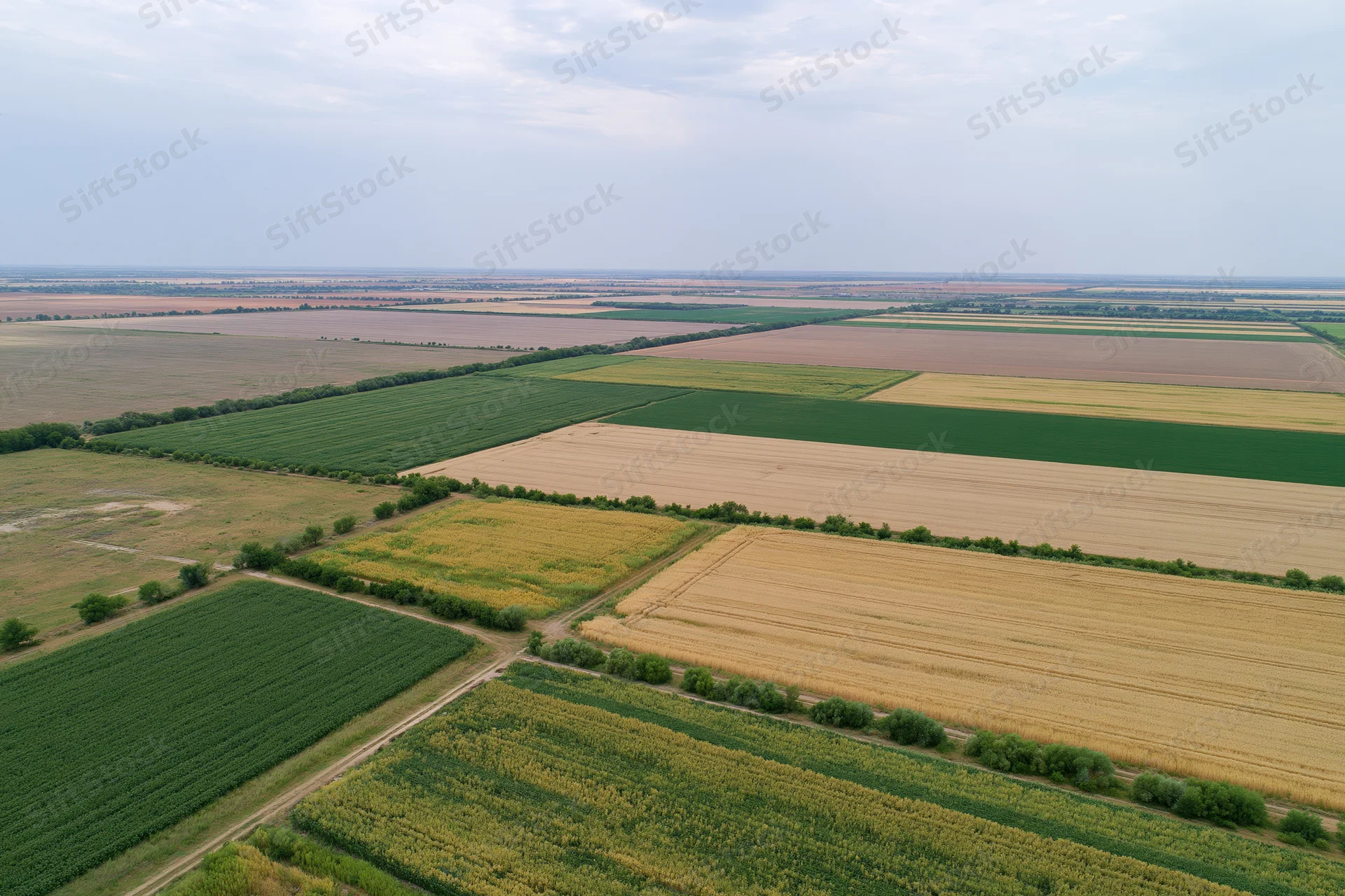 Aerial view of patchwork farmland with corn, wheat and soybean fields in rural countryside