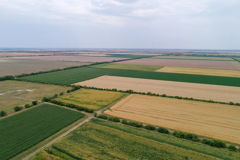 Aerial view of patchwork farmland with corn, wheat and soybean fields in rural countryside