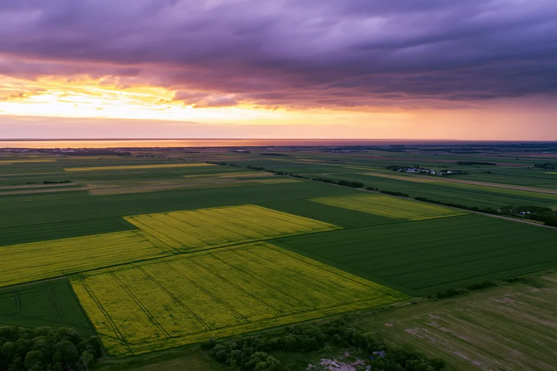 Aerial drone view of flat agricultural fields divided into rectangular plots of green and yellow crops under a dramatic sunset sky