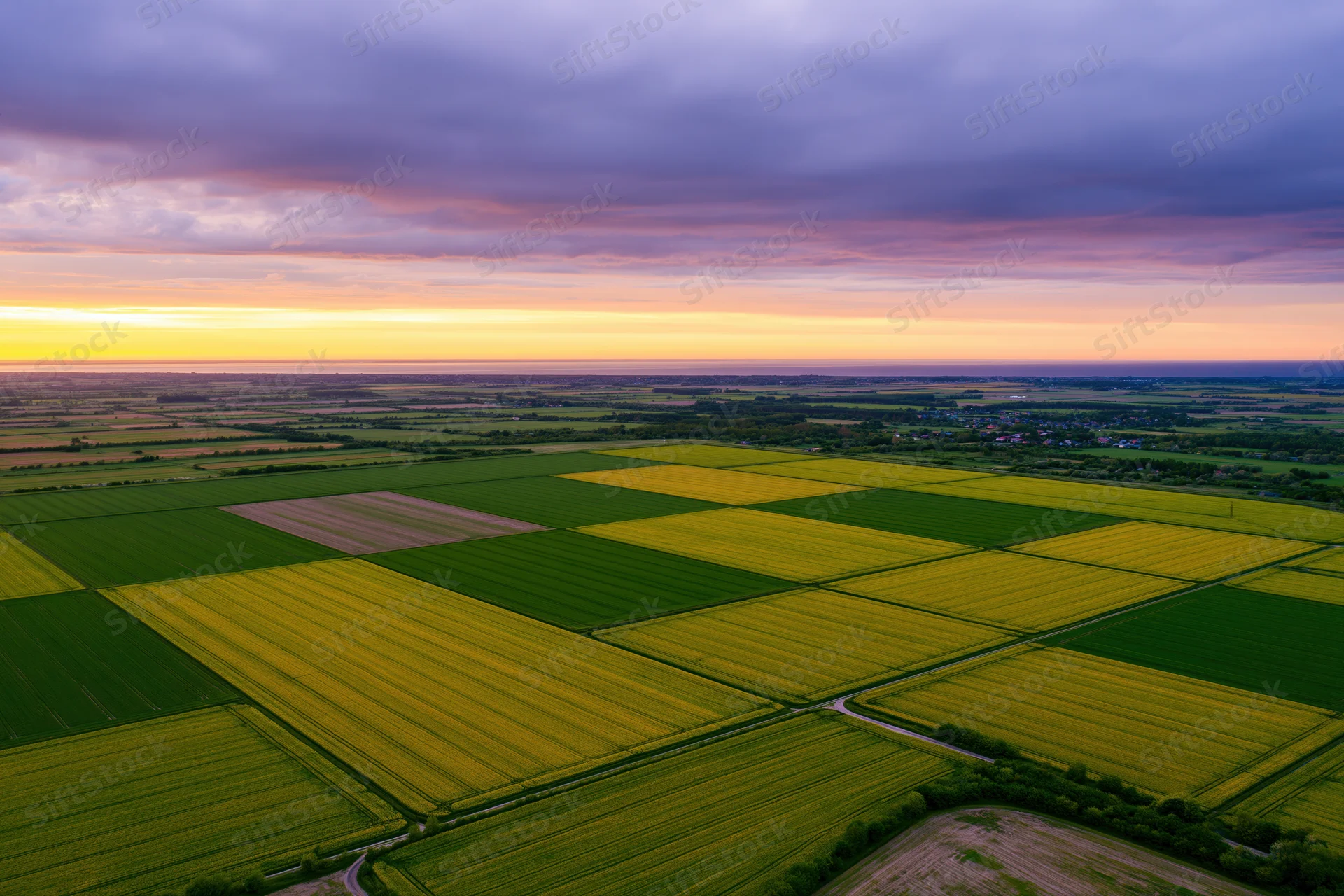 Aerial drone view of flat agricultural fields divided into rectangular plots of yellow canola and green crops under a sunset sky