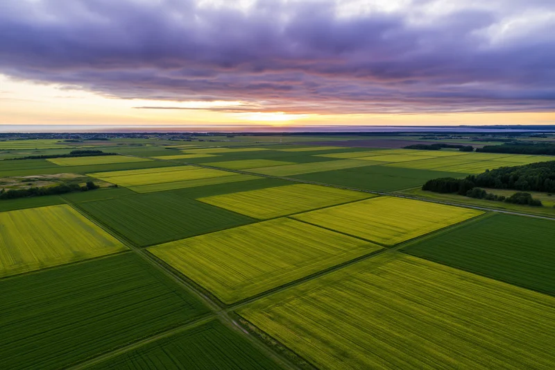 Aerial drone view of flat agricultural fields divided into green and yellow crop plots under a cloudy sunset sky