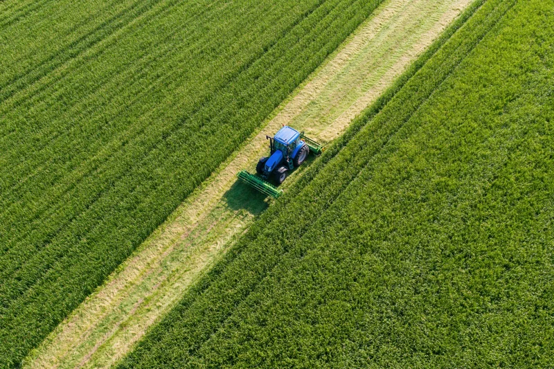 Blue tractor harvesting crops in a green field from aerial view