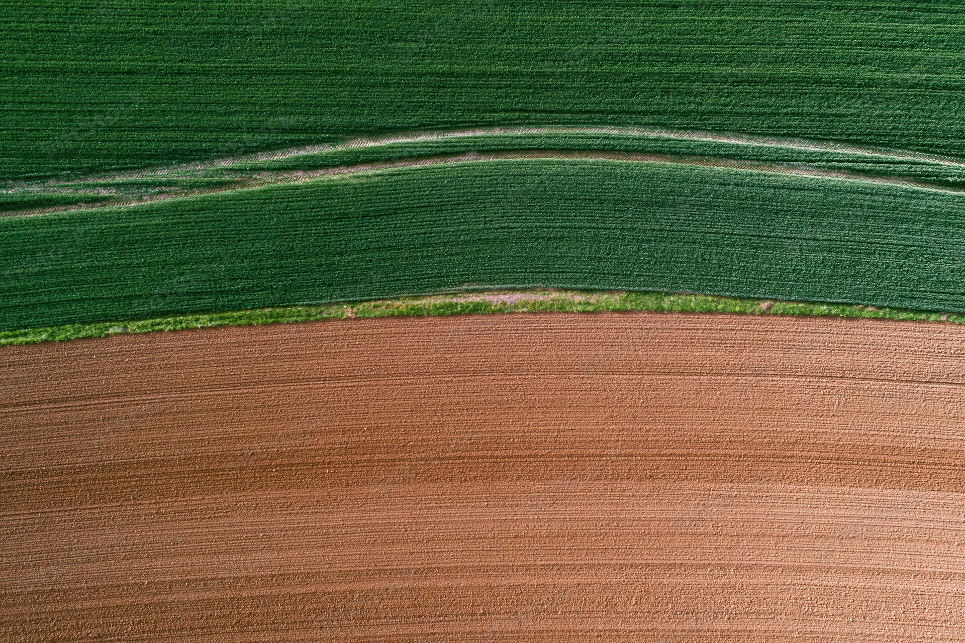 Aerial top-down view of two adjacent agricultural fields, one green with crops and one brown with tilled soil