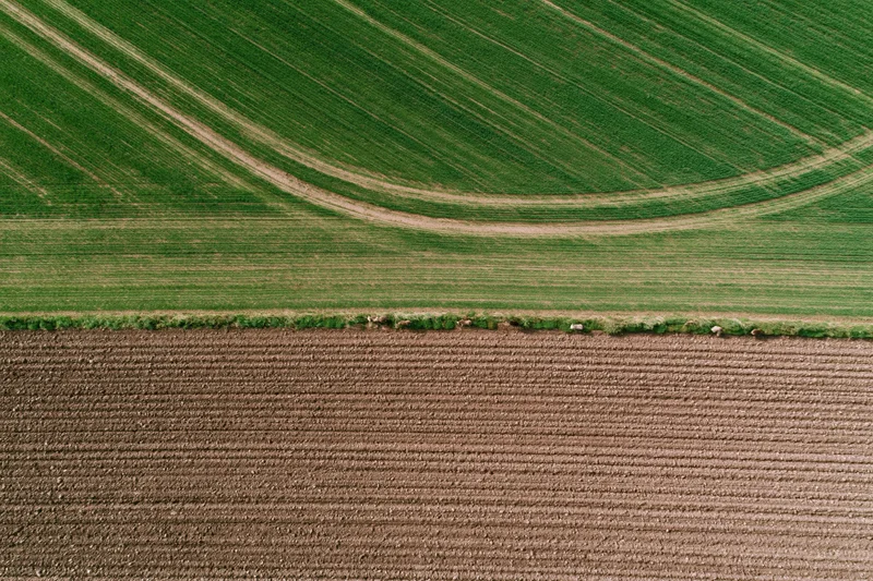 Aerial top-down view of two adjacent agricultural fields, one green and one plowed brown, showing crop rows and furrows