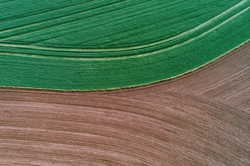 Aerial top-down view of two adjacent agricultural fields with curved green crop and brown plowed soil