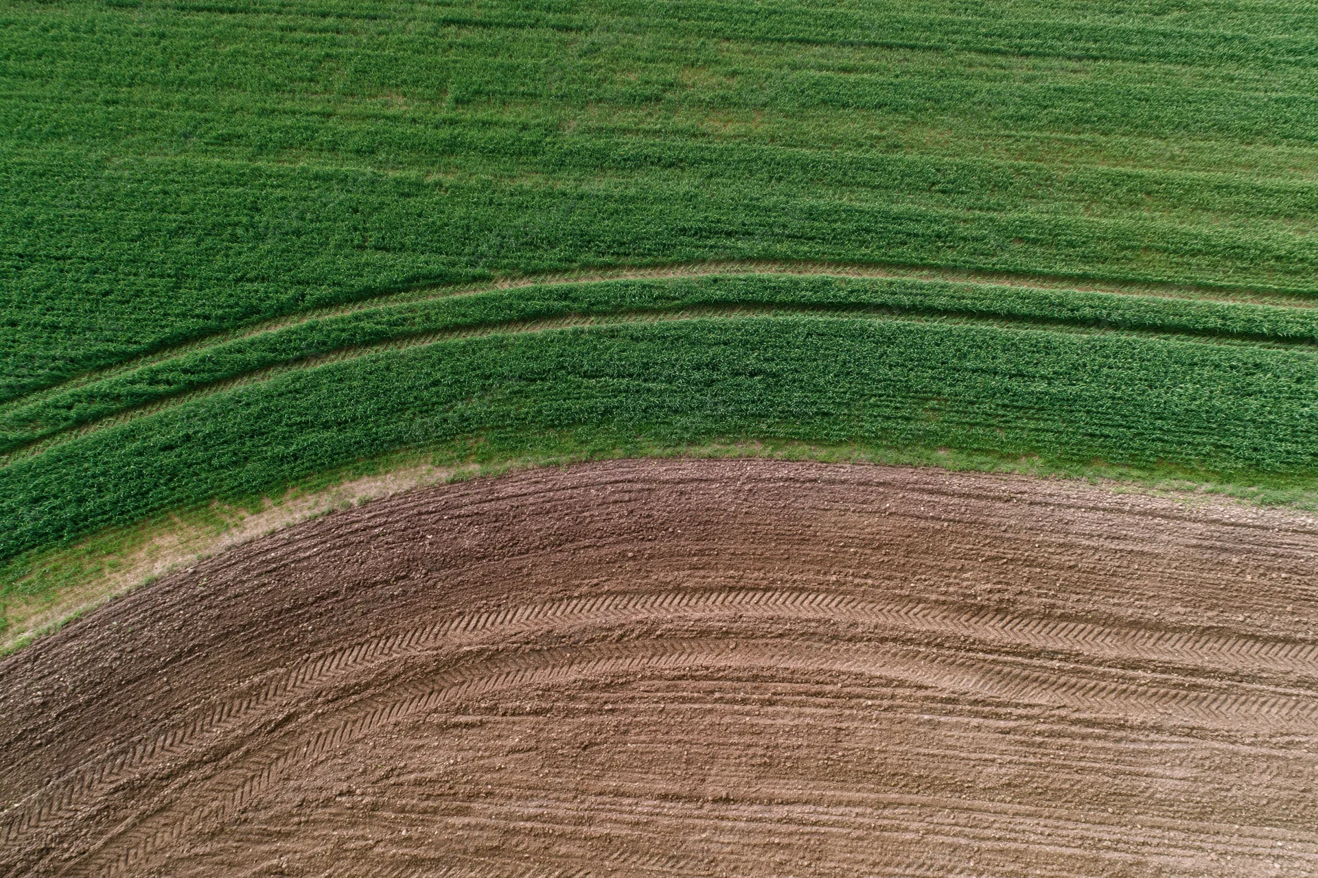 Aerial top-down view of adjacent cornfield and plowed farmland showing curved tractor tracks and soil texture