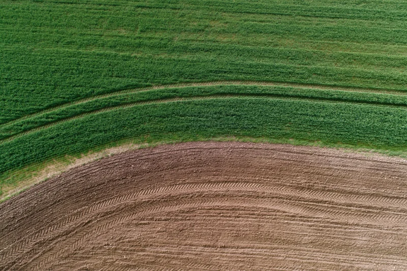 Aerial top-down view of adjacent cornfield and plowed farmland showing curved tractor tracks and soil texture