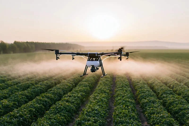 Agricultural drone spraying pesticide mist over rows of crops in a field at sunset